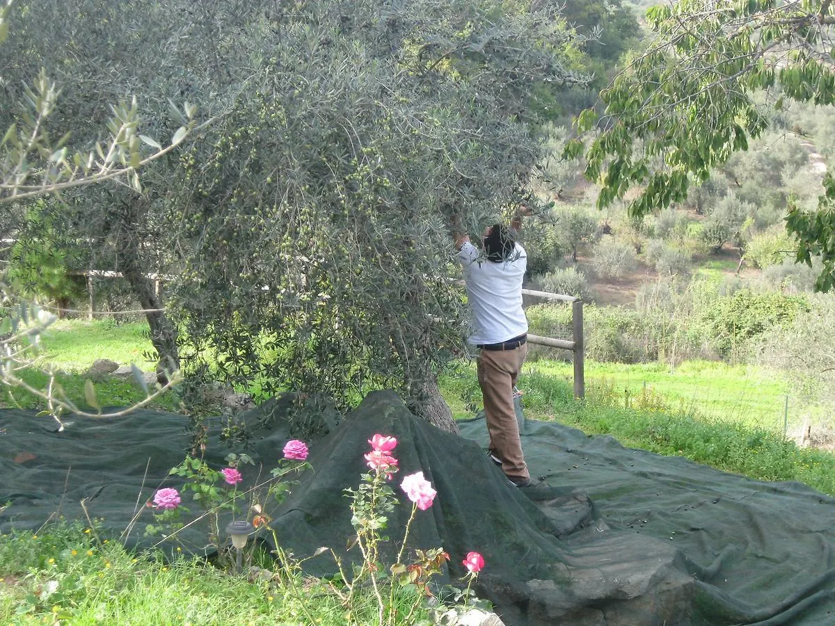 Farm stay Agriturismo Al Poggetto Villa Piana degli Albanesi