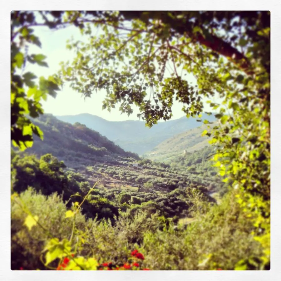 Agriturismo Al Poggetto Villa Piana degli Albanesi 0*,  Italy